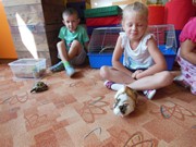 Zvířátkový den ve školce